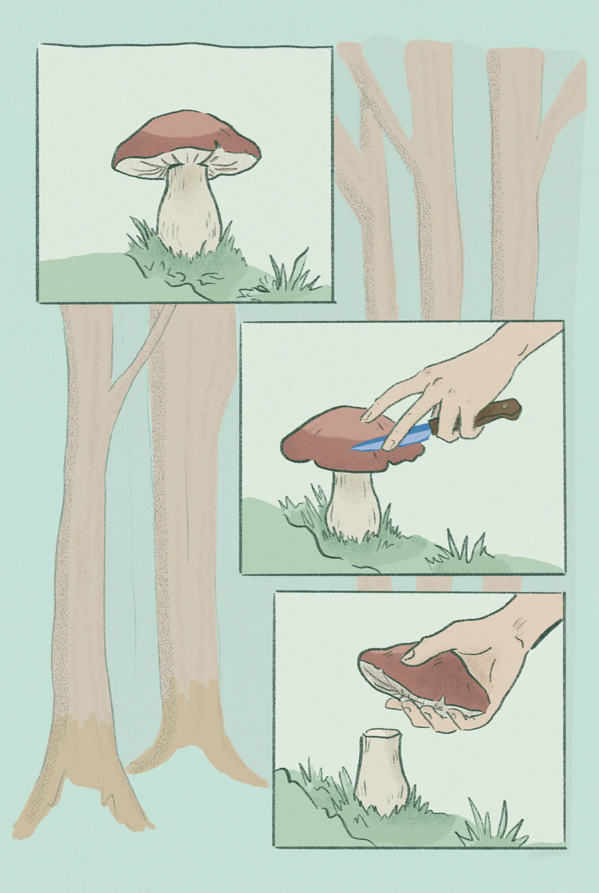 Page 1. A hand cuts a mushroom from the forest floor.